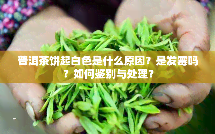 普洱茶饼起白色是什么原因？是发霉吗？如何鉴别与处理？