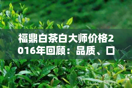 福鼎白茶白大师价格2016年回顾：品质、口感及收藏价值全面解析