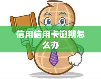 信用信用卡逾期怎么办