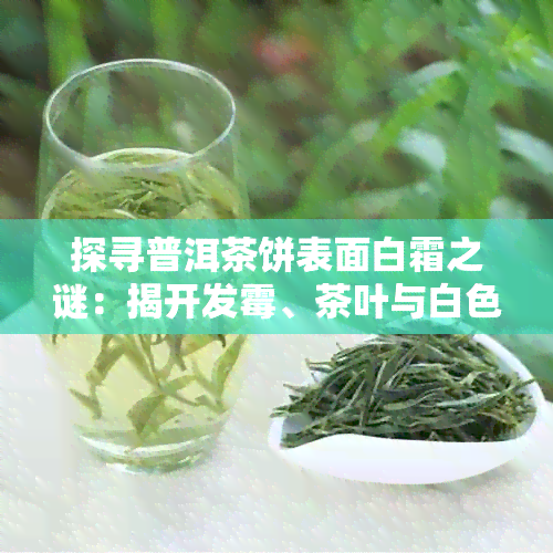 探寻普洱茶饼表面白霜之谜：揭开发霉、茶叶与白色背后的原因