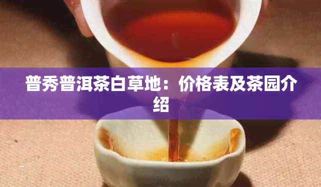 普秀普洱茶白草地：价格表及茶园介绍