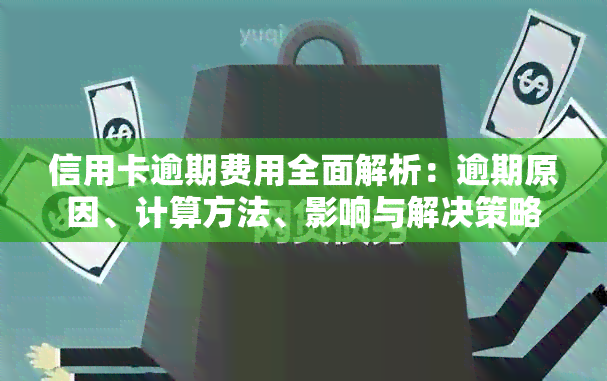 信用卡逾期费用全面解析：逾期原因、计算方法、影响与解决策略