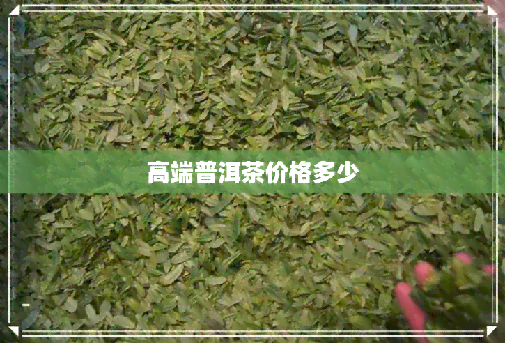 高端普洱茶价格多少