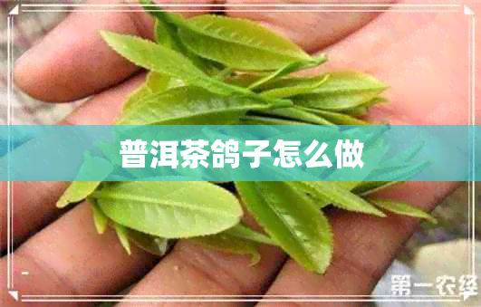 普洱茶鸽子怎么做