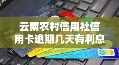 云南农村信用社信用卡逾期几天有利息：影响与贷款处理