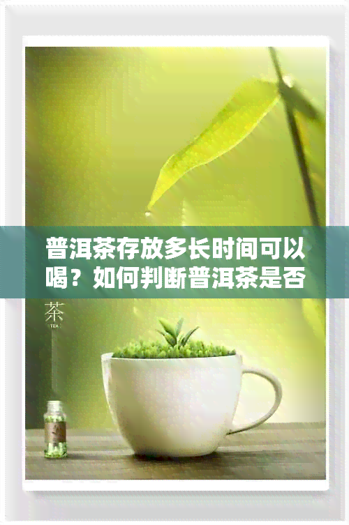 普洱茶存放多长时间可以喝？如何判断普洱茶是否过期？