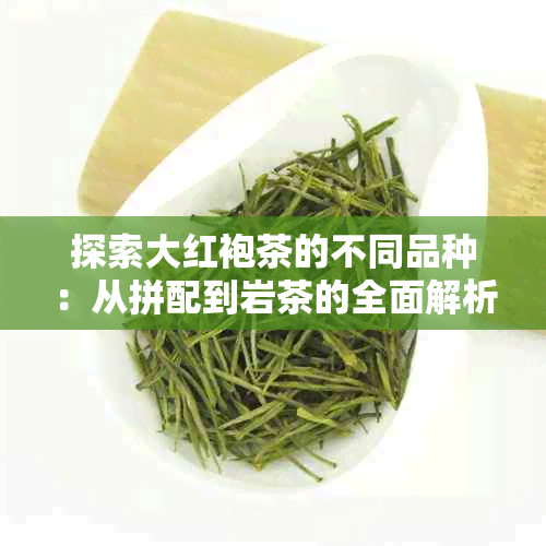 探索大红袍茶的不同品种：从拼配到岩茶的全面解析