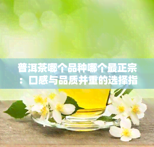 普洱茶哪个品种哪个最正宗：口感与品质并重的选择指南