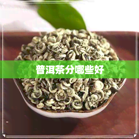 普洱茶分哪些好