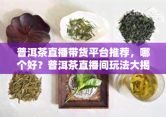 普洱茶直播带货平台推荐，哪个好？普洱茶直播间玩法大揭秘！