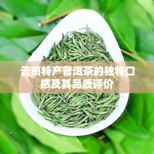 云南特产普洱茶的独特口感及其品质评价