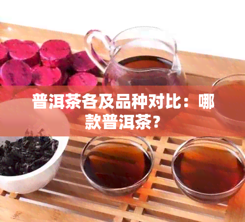 普洱茶各及品种对比：哪款普洱茶？