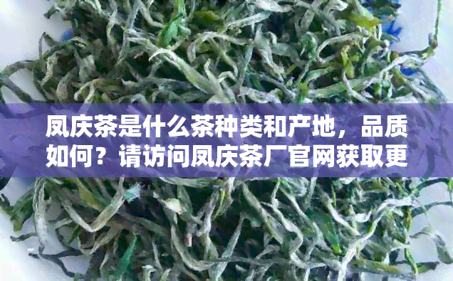 凤庆茶是什么茶种类和产地，品质如何？请访问凤庆茶厂官网获取更多信息。