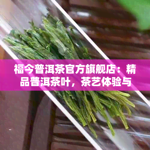 福今普洱茶官方旗舰店：精品普洱茶叶，茶艺体验与加盟支持一站式服务