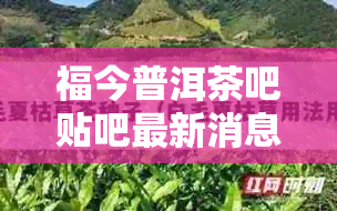 福今普洱茶吧贴吧最新消息：查看福今普洱茶吧百度贴吧的最新动态和讨论。