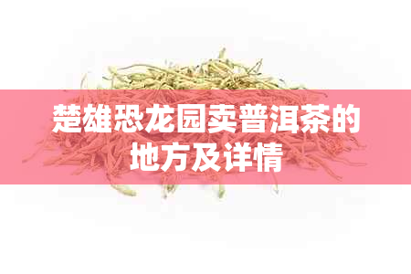 楚雄恐龙园卖普洱茶的地方及详情