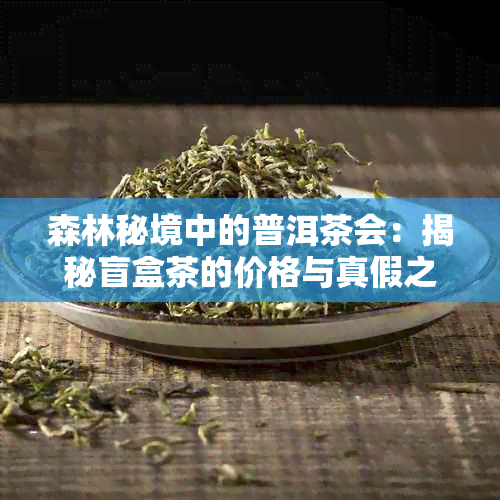 森林秘境中的普洱茶会：揭秘盲盒茶的价格与真假之谜