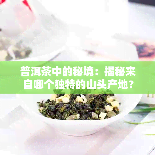 普洱茶中的秘境：揭秘来自哪个独特的山头产地？