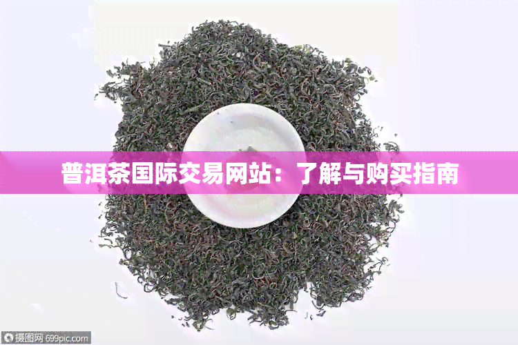 普洱茶国际交易网站：了解与购买指南