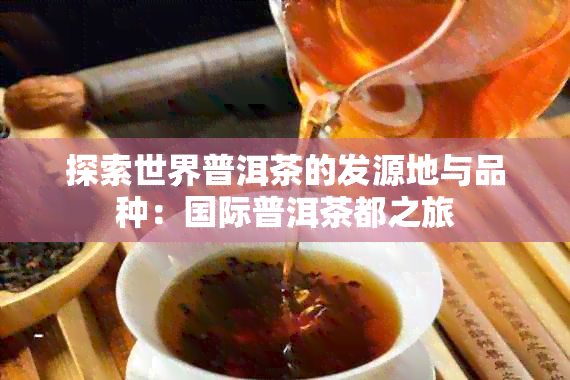 探索世界普洱茶的发源地与品种：国际普洱茶都之旅