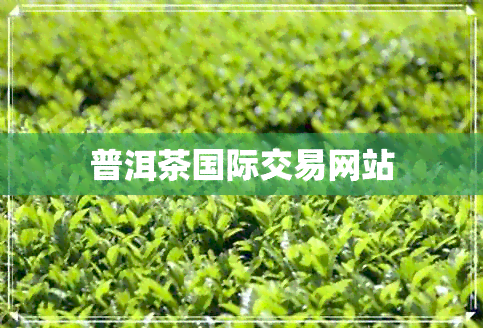 普洱茶国际交易网站