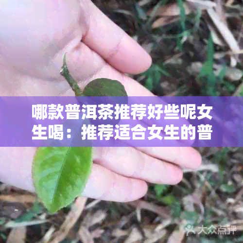 哪款普洱茶推荐好些呢女生喝：推荐适合女生的普洱茶