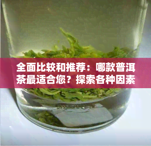 全面比较和推荐：哪款普洱茶最适合您？探索各种因素以找到选择