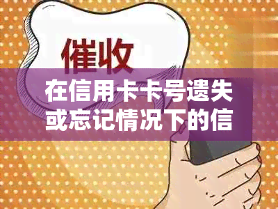 在信用卡卡号遗失或忘记情况下的信用查询解决方法