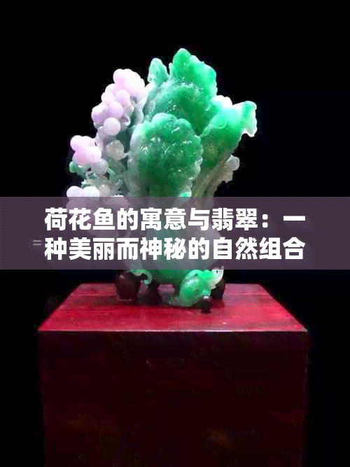 荷花的寓意与翡翠：一种美丽而神秘的自然组合