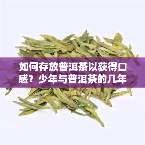 如何存放普洱茶以获得口感？少年与普洱茶的几年之约