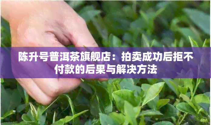 陈升号普洱茶旗舰店：拍卖成功后拒不付款的后果与解决方法