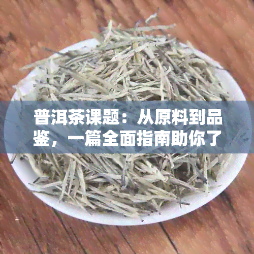 普洱茶课题：从原料到品鉴，一篇全面指南助你了解普洱茶的奥秘