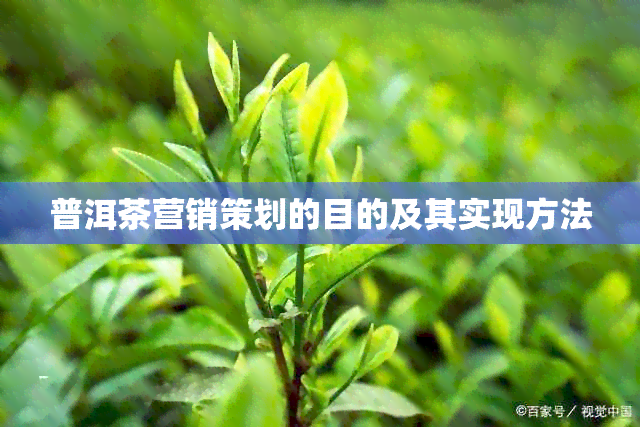 普洱茶营销策划的目的及其实现方法