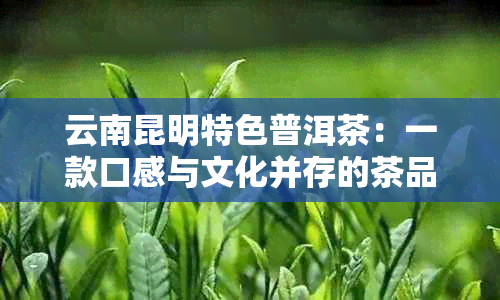 云南昆明特色普洱茶：一款口感与文化并存的茶品探究