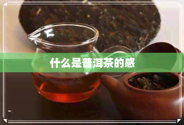 什么是普洱茶的感