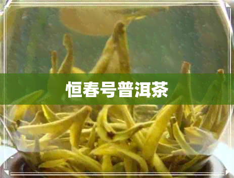 恒春号普洱茶