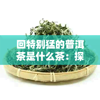 回特别猛的普洱茶是什么茶：探究其独特风味与回特性