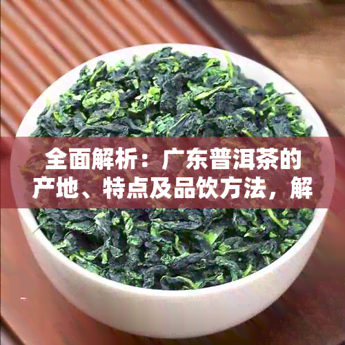 全面解析：广东普洱茶的产地、特点及品饮方法，解答你对普洱茶的所有疑问