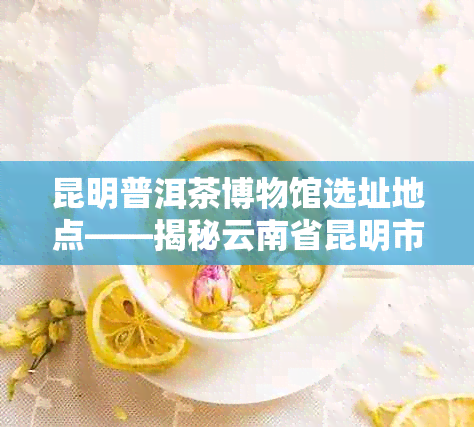 昆明普洱茶博物馆选址地点——揭秘云南省昆明市博物馆新址