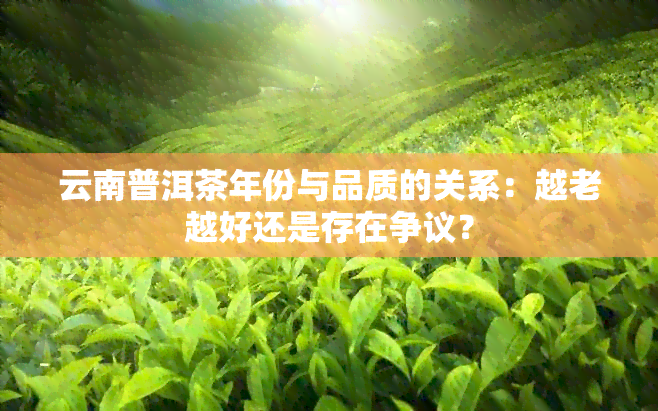 云南普洱茶年份与品质的关系：越老越好还是存在争议？