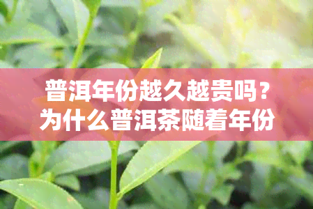 普洱年份越久越贵吗？为什么普洱茶随着年份增长价格不断上涨？