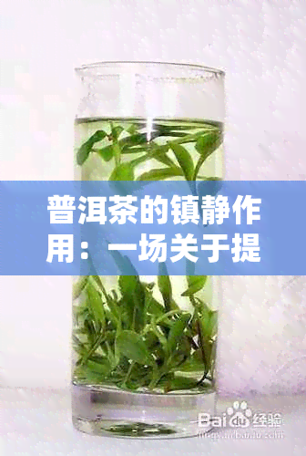 普洱茶的镇静作用：一场关于提神与安眠的较量