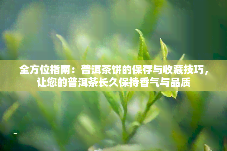 全方位指南：普洱茶饼的保存与收藏技巧，让您的普洱茶长久保持香气与品质