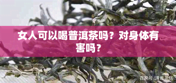 女人可以喝普洱茶吗？对身体有害吗？