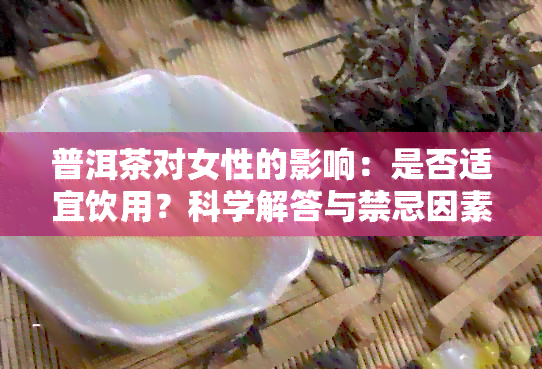 普洱茶对女性的影响：是否适宜饮用？科学解答与禁忌因素剖析