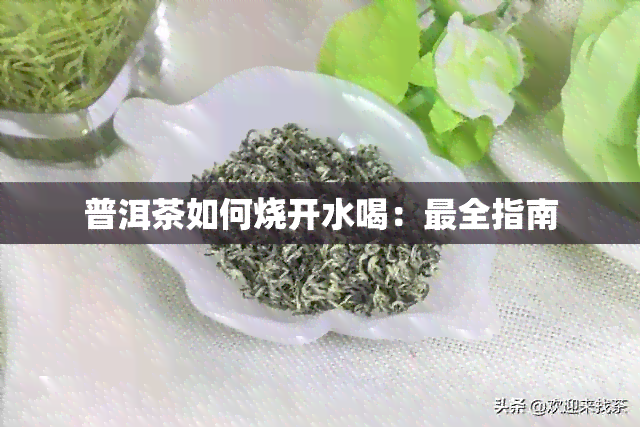 普洱茶如何烧开水喝：最全指南