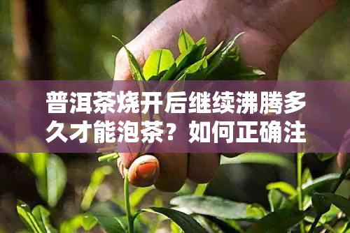 普洱茶烧开后继续沸腾多久才能泡茶？如何正确注水才能保持茶叶的品质？