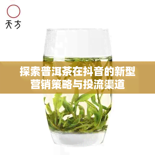 探索普洱茶在抖音的新型营销策略与投流渠道