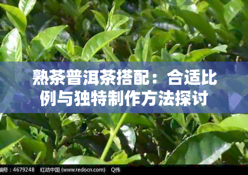 熟茶普洱茶搭配：合适比例与独特制作方法探讨