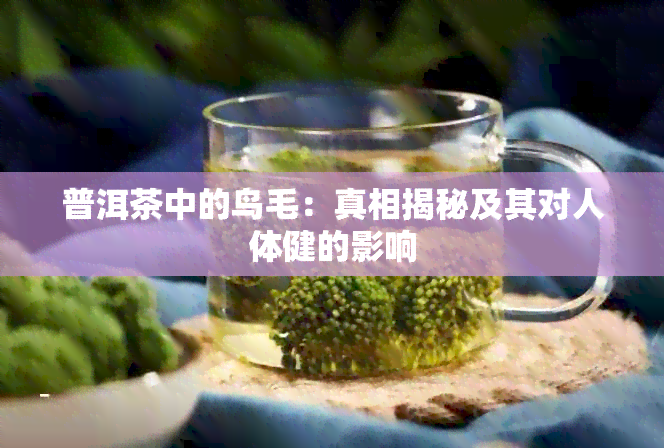 普洱茶中的鸟毛：真相揭秘及其对人体健的影响